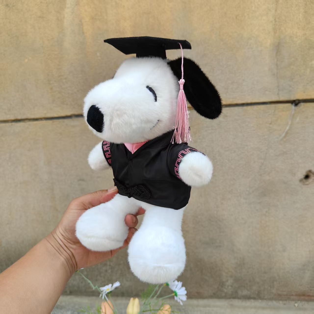 Docteur rose 25 cm