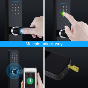 Chiusura di sicurezza elettrica Tuya per la porta con password per impronte digitali smart appartamento camera porta porta porta serrature