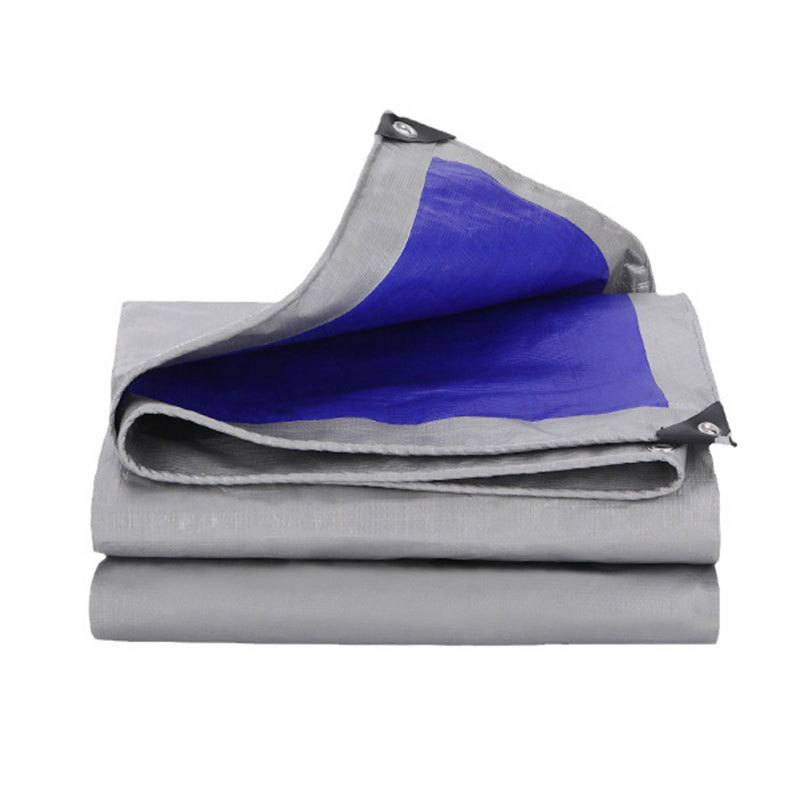 Silver/Blue