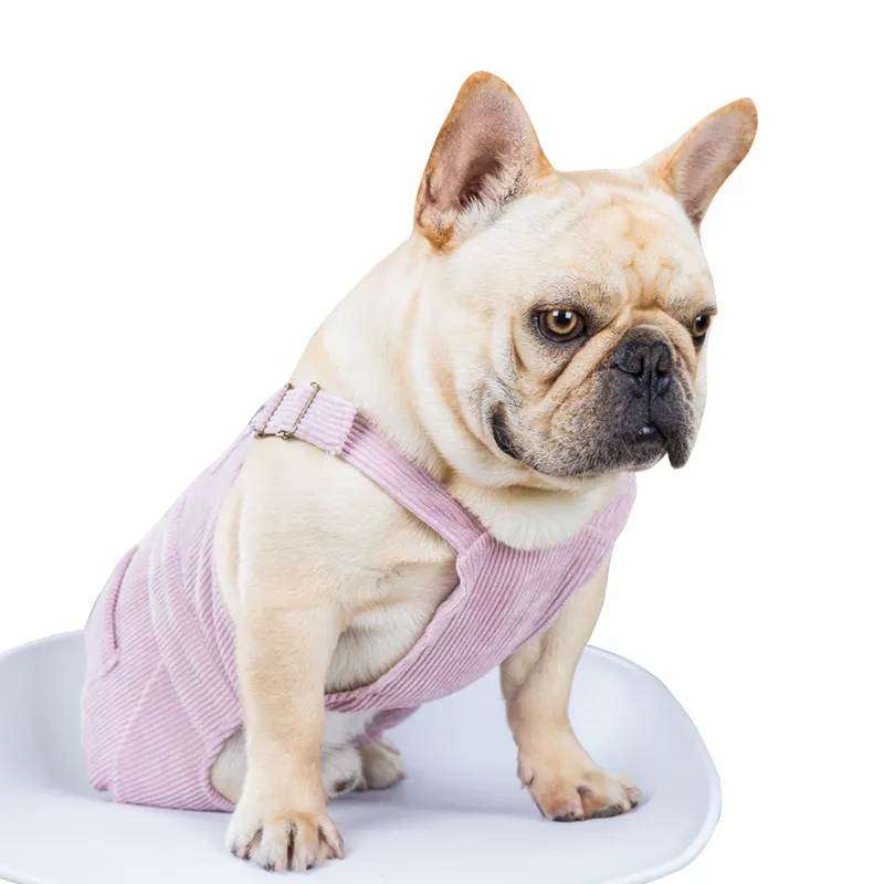 OEM/ ODM sıcak satış yaz köpek giysileri modası fransız Bulldog Pet giysi