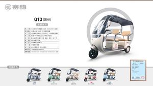 EEC基準に準拠したキャノピー付きレジャー電気三輪車 - Product Image 2