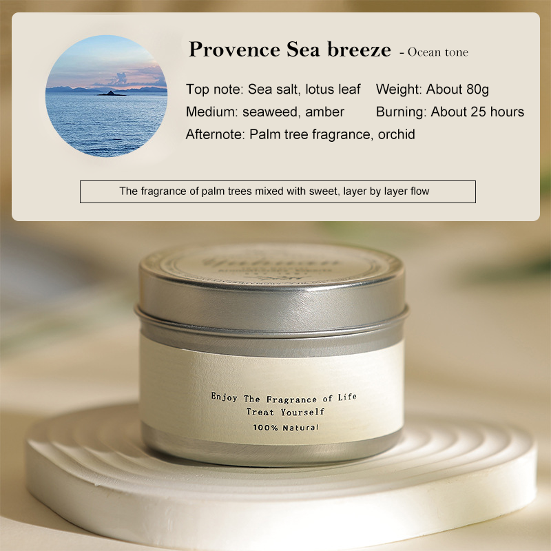 Boîte en fer argenté Diffuseur/Pulse Sea Breeze-Cire 80g