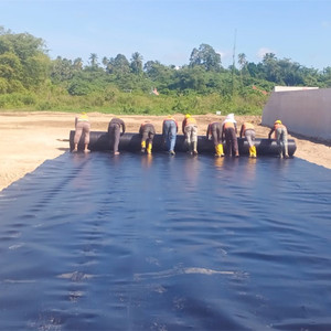 Black Geomembranes Pond Liner High Density <strong>HDPE</strong> 1mm Geomembrane for Fish Farming - Product Image 3