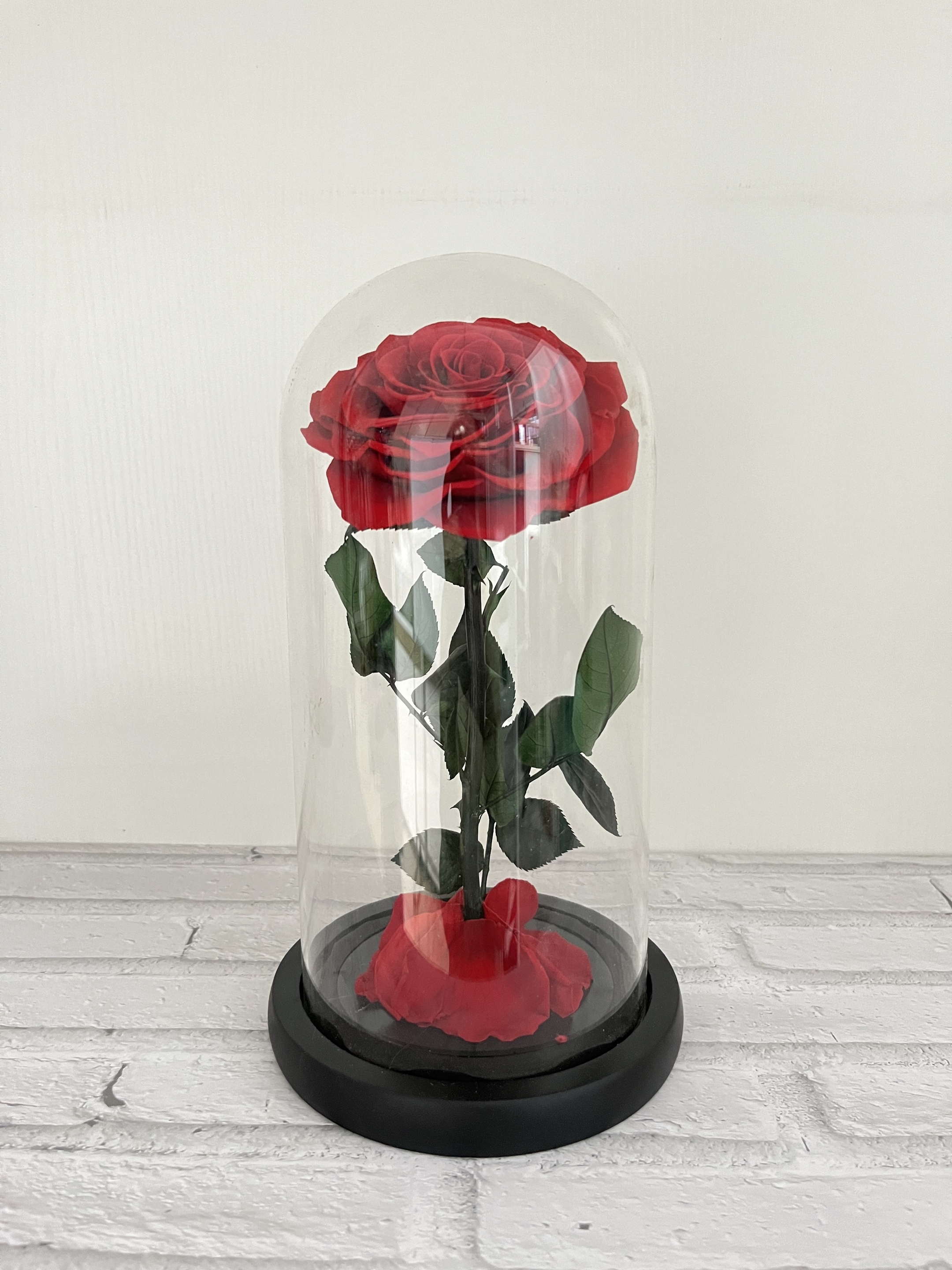 rojo oscuro (12*25)