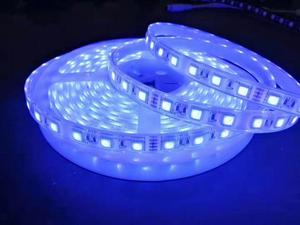 颜色变化100m DC 12V 24V 5050 RGB LED条形灯每卷5M用于广告照明 - Product Image 3