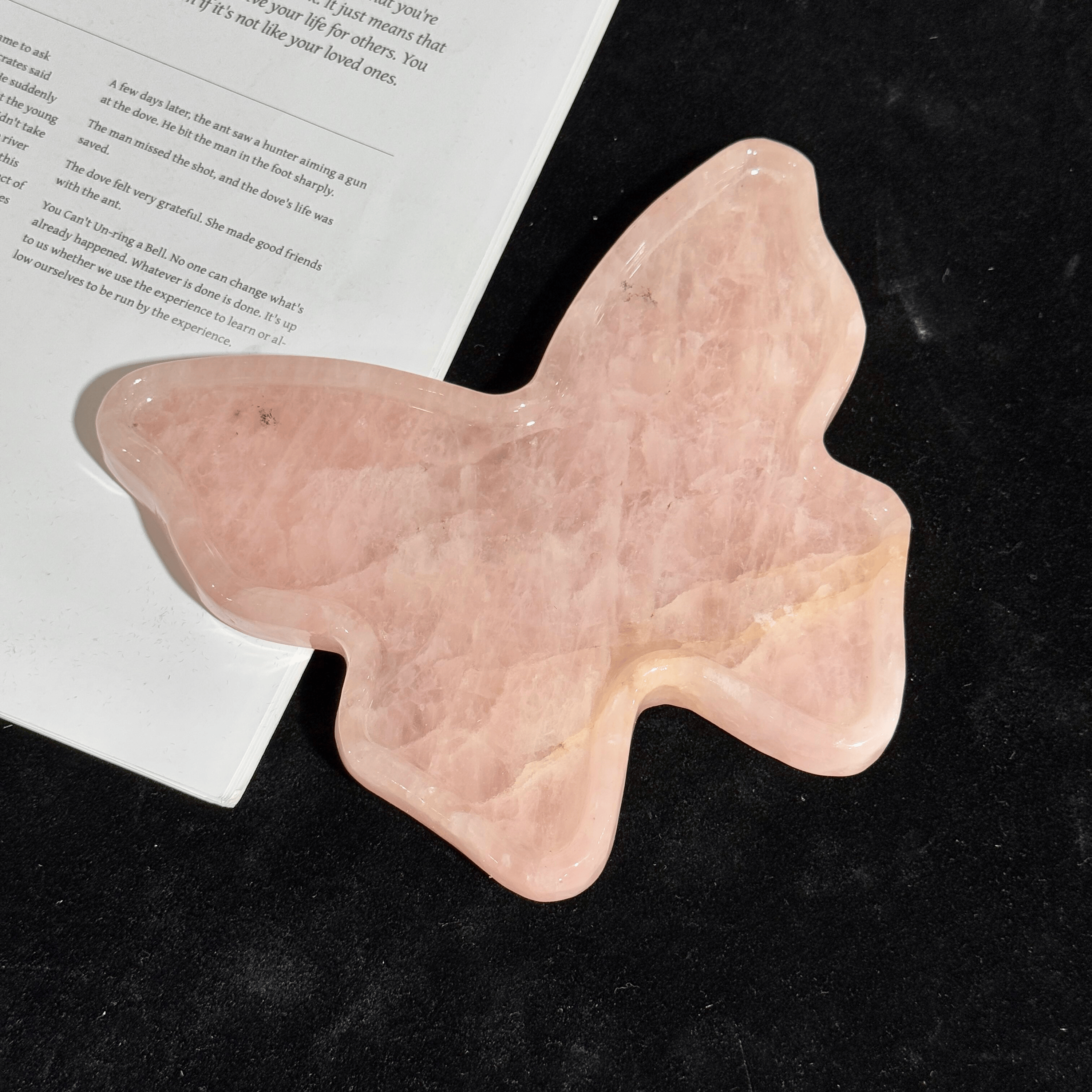 Butterfly Shape