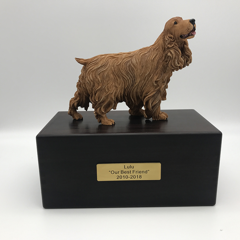 Cocker Spaniel