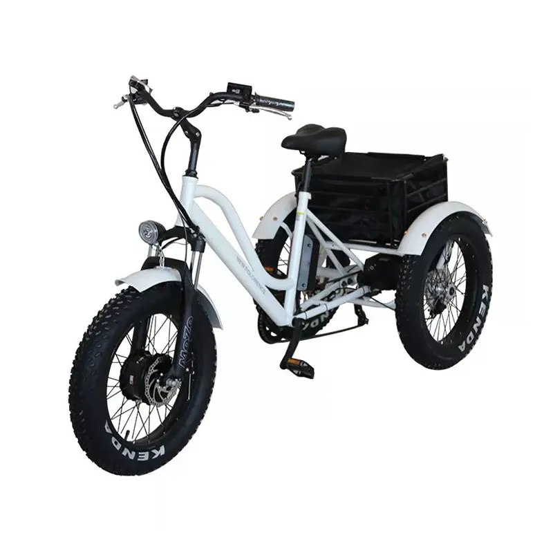 Fabricant en gros bajaj 48v 20ah 3 roues tricycle électrique adulte en aluminium métal Tricycle électrique