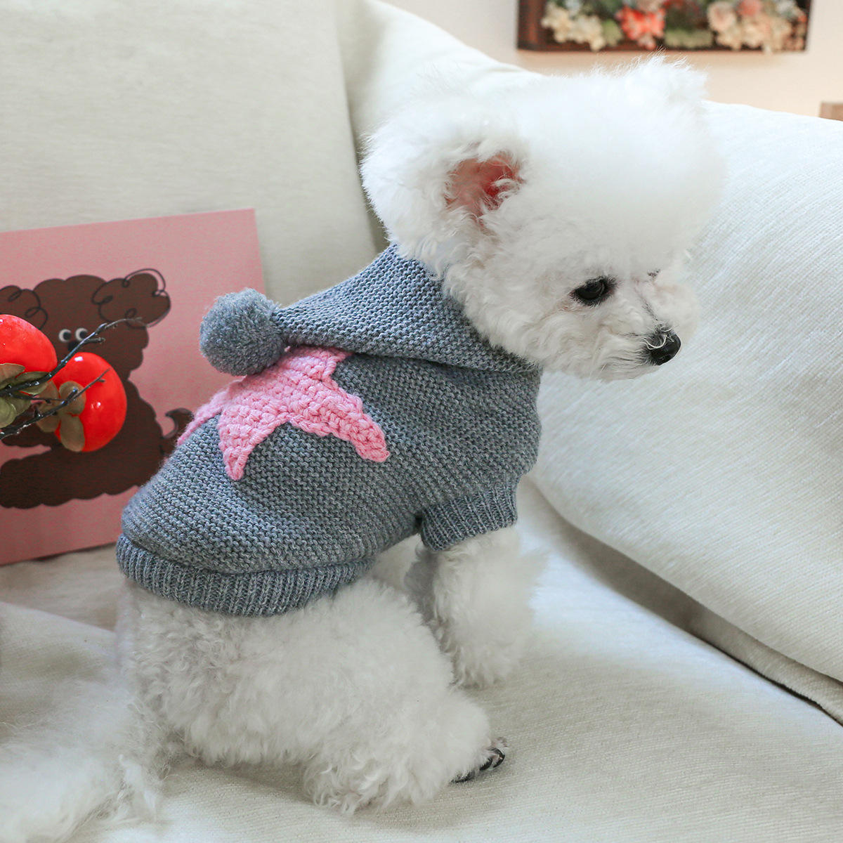 Pull étoile de mer gris clair, style nordique.