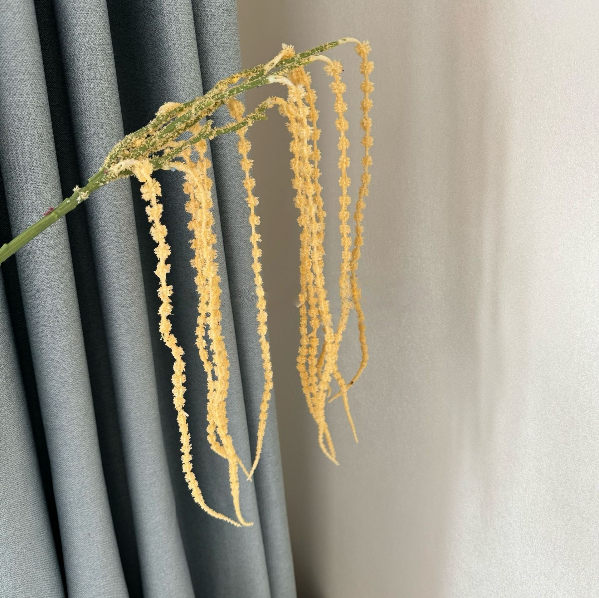Amarillo claro