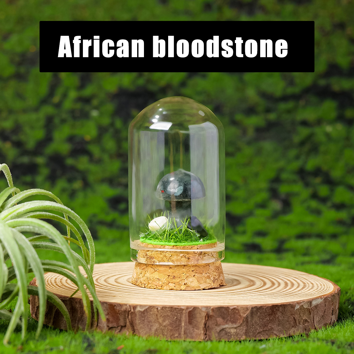 African bloodstone