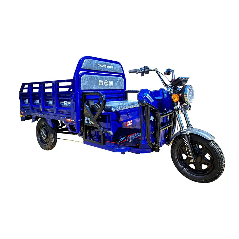Heavy Duty Electric Cargo Vehicle 1500w High Speed Three Wheel Cargo Bike Truck Cargo Tricycle