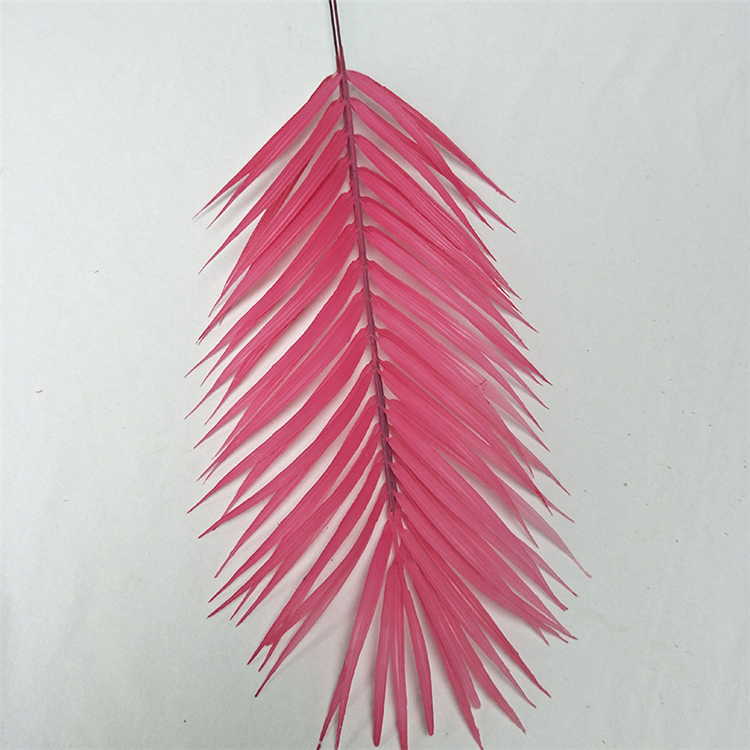 Fushia