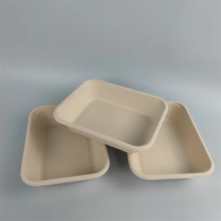  pfas wholesale 100% bagasse lunch box