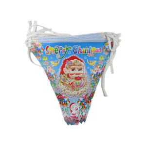 High Quality Plastic <strong>Customized</strong> Design Pennants <strong>String</strong> <strong>Flag</strong> <strong>Triangle</strong> <strong>Bunting</strong> Banner for Decoration - Product Image 5