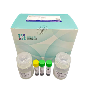 Hochreines Genomisches DNA-Extraktionskit für Tiergewebe & -zellen - Product Image 1