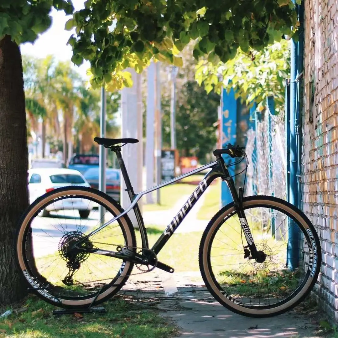 Bicicleta de Montaña de fibra de carbono, 29 pulgadas, 12 velocidades, moda China