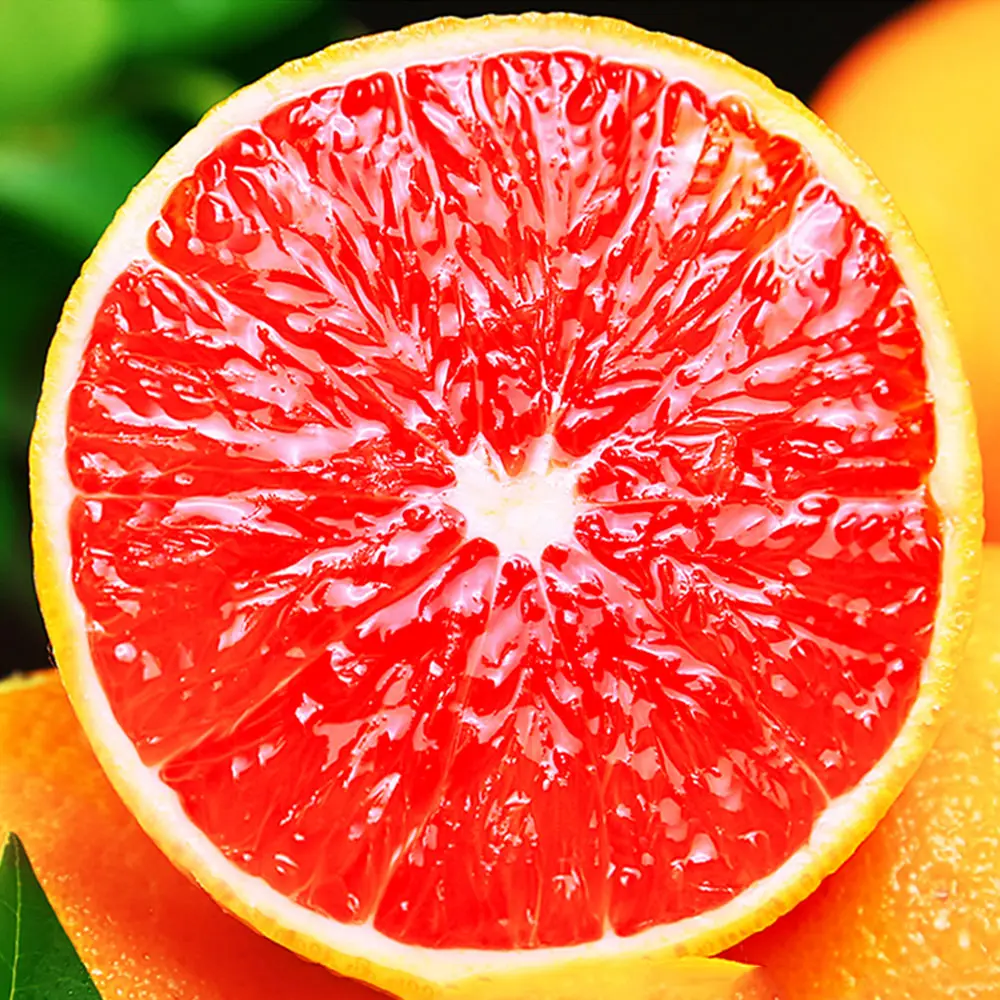 Newhall ombligo naranja precio/buena calidad dulce y sabroso zigui mandarina naranja en venta