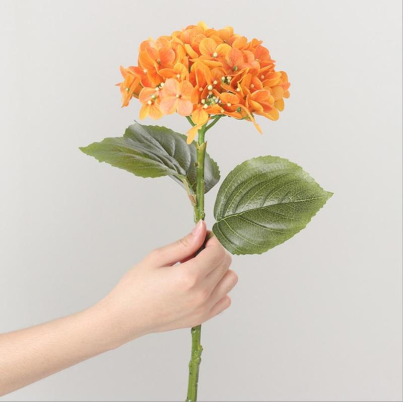 Oorange 50cm
