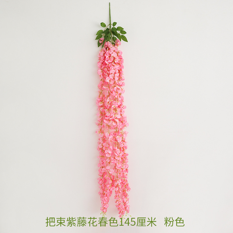 145cm rose