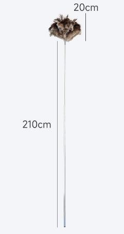 2,3 m