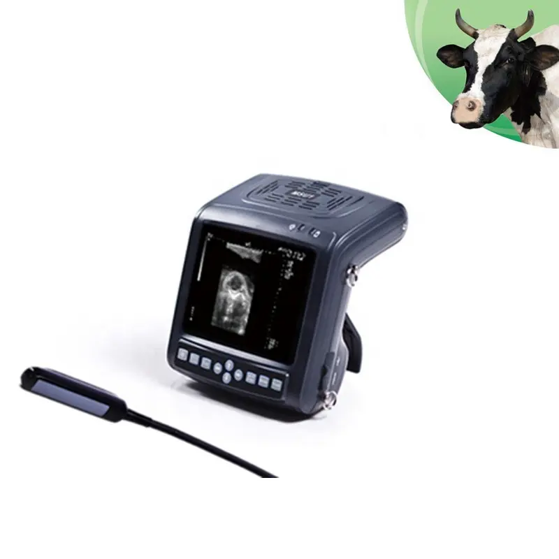Machine à ultrasons vétérinaire portable/scanner à ultrasons pour vétérinaire numérique KX5200