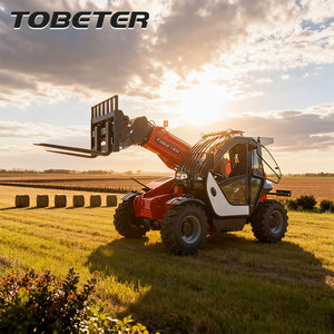 Tobeter Light Duty 2.5 Ton di risparmio energetico per piccole aziende agricole e lavori stradali - Product Image 3