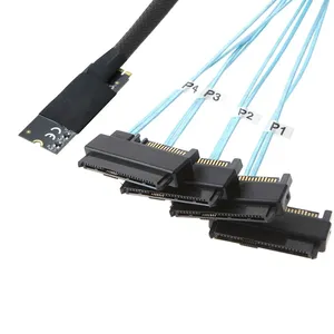 M. 2 Mkey(2242 M.2 Size) to 4-port <strong>SAS</strong> SFF-8482 2-in-1 Server High-Speed Conversion Cable - Product Image 3