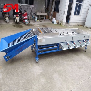 完璧なアフターサービスラズベリーマンゴーローラー仕分け機 - Product Image 6
