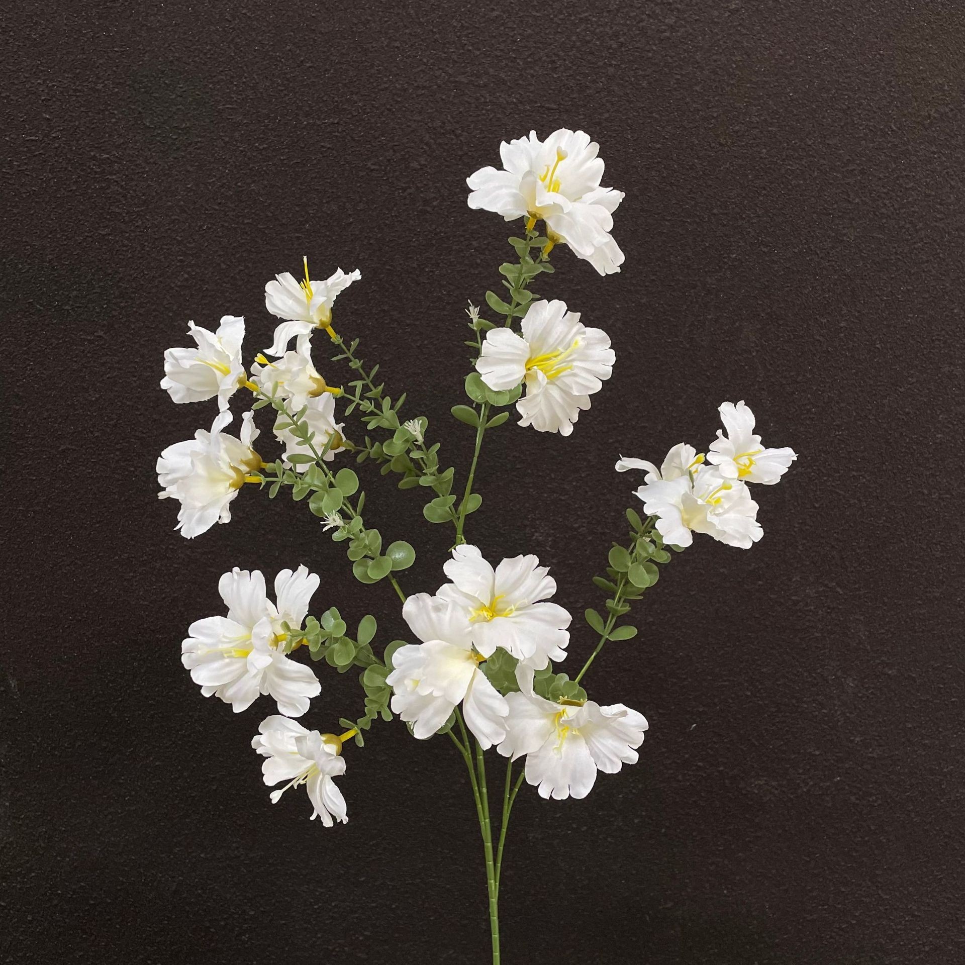 Grande fleur blanche secouée par le vent
