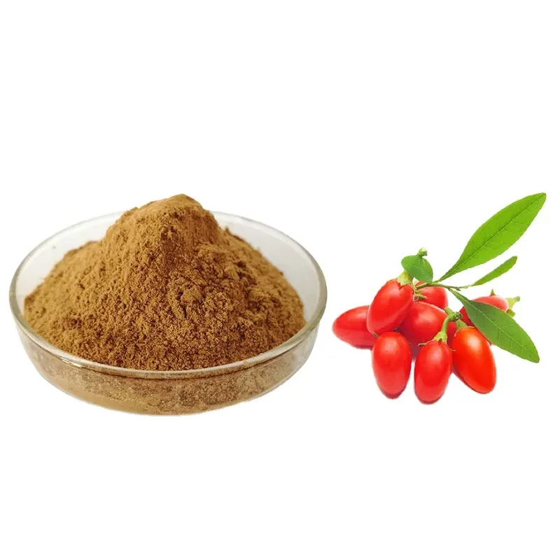 Extrait de Goji en poudre de baies de Goji, Goji populaire, haute qualité, alimentation, avec prix en vrac et meilleurs Services