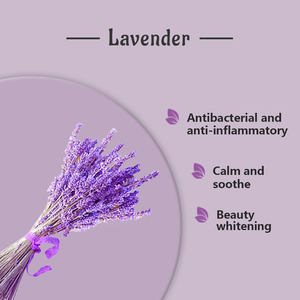 HL-difüzör uçucu yağ (yeni) tedarikçi, 10ML Aroma terapi yağı, toplu organik lavanta yağı diffüz için % 100% saf | Uzun ömürlü - Product Image 6