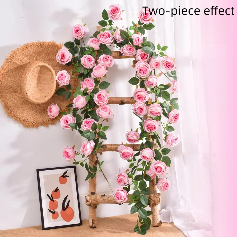 Rosa