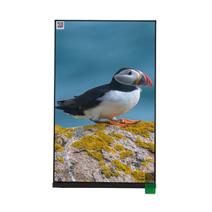 OEM 10,1 pulgadas 800x1280 Ips pantalla táctil Módulo de pantalla LCD 10 1 pulgadas Ips Tft LCD pantalla Mipi interfaz Ili9881 10 pulgadas IPS