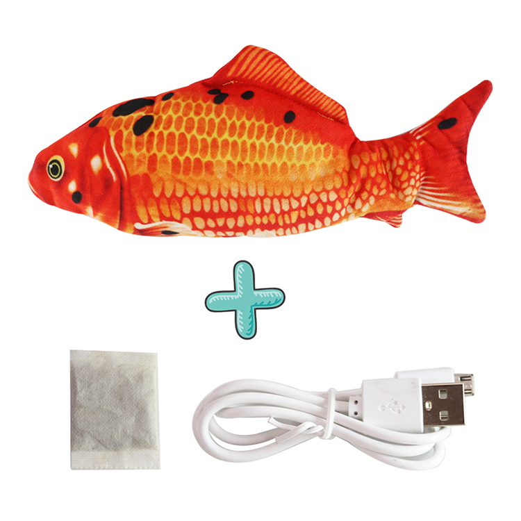 Carp