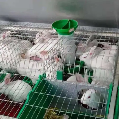 Sous-verre à l'effigie des cycliste, cage à lapin