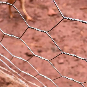 YC Verfügbar zum Verkauf Sechseckiges Draht geflecht heißer Verkauf Geflügel netz Draht gewalzter Zaun Niedrige Preise verzinkter Farmzaun - Product Image 3
