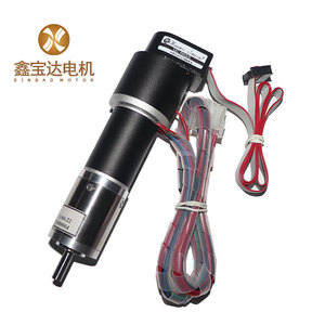 30毫米XBD-3045 24V <span class=keywords><strong>16000</strong></span>转/分无刷直流电机无芯电机驱动电机噪音长寿命高扭矩纹身枪纹身