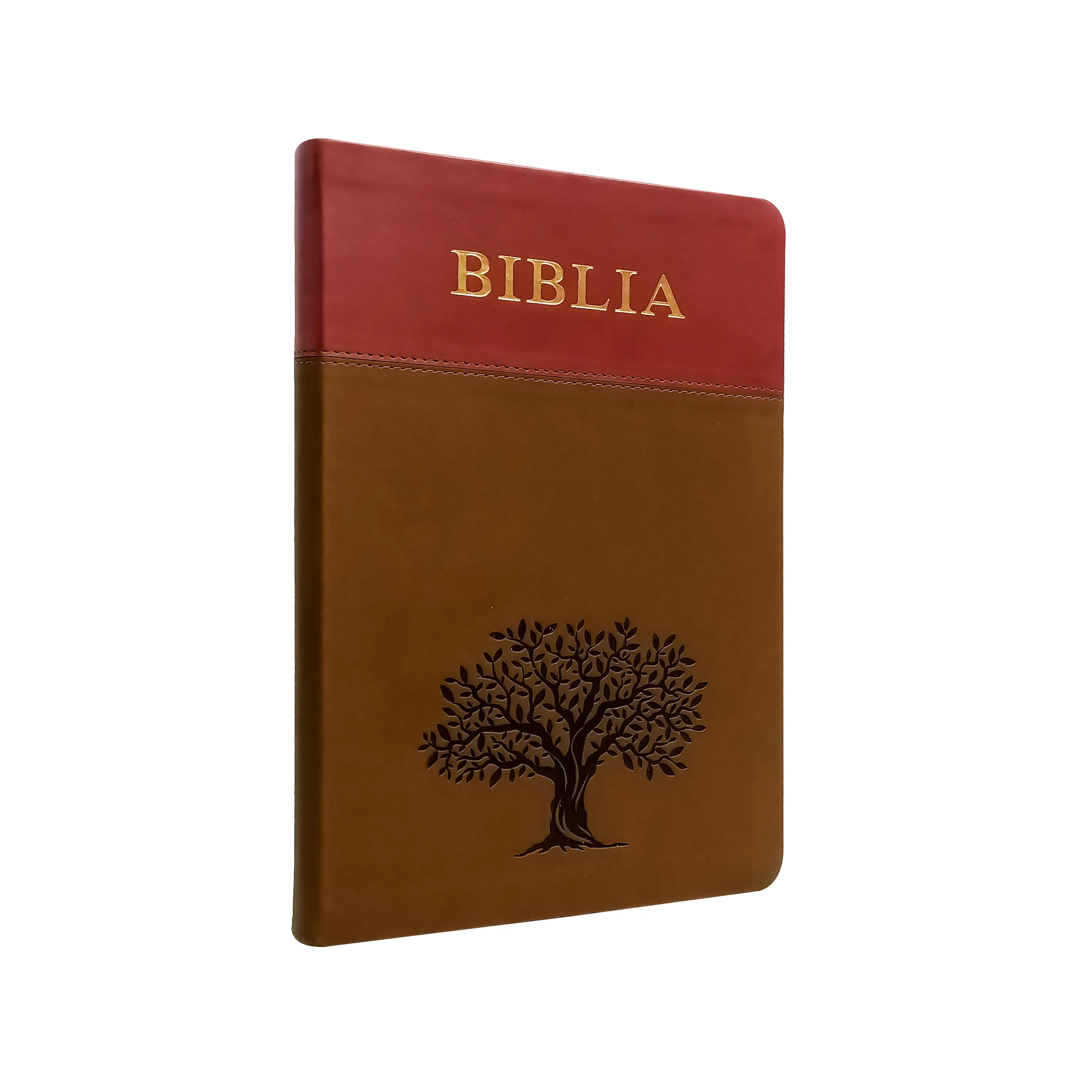 Libro de la Biblia personalizado en español del santo rey James, versión de buena calidad