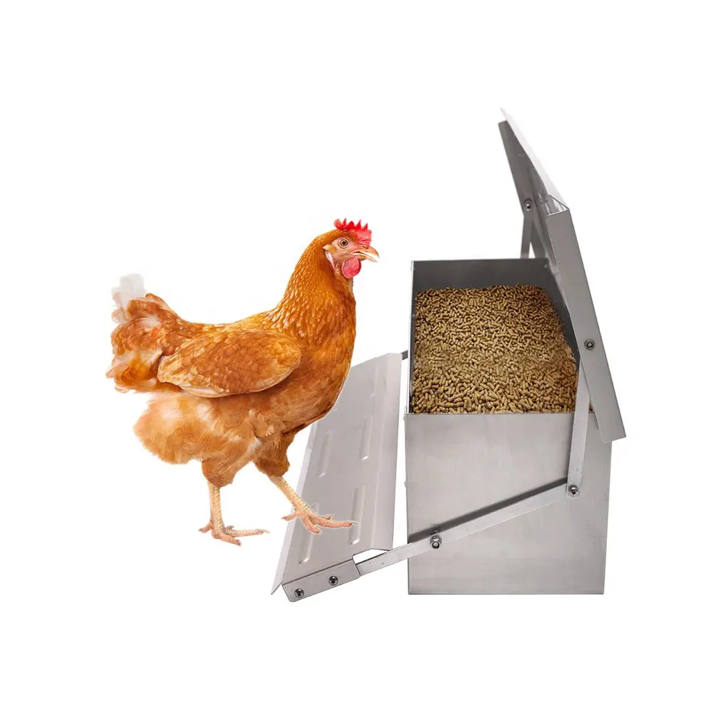 galvanized sheet metal treadle automatic chicken feeder poultry chicken feeder and drinker poultry farming