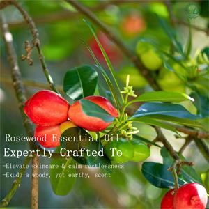 HL- <strong>Huile</strong> Essentielle Bio Producer, BULK Brazilian Rosewood Essential Oil 100% Pure for Skin &amp; Body Care | Therapeutic-Grade - Product Image 2
