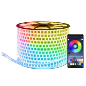 IP67 Outdoor <strong>LED</strong> Strip Light 220V RGB 60LEDs 5050 High Voltage PVC Cover USB Connectivity Cuttable Flexible <strong>LED</strong> Rope - Product Image 5
