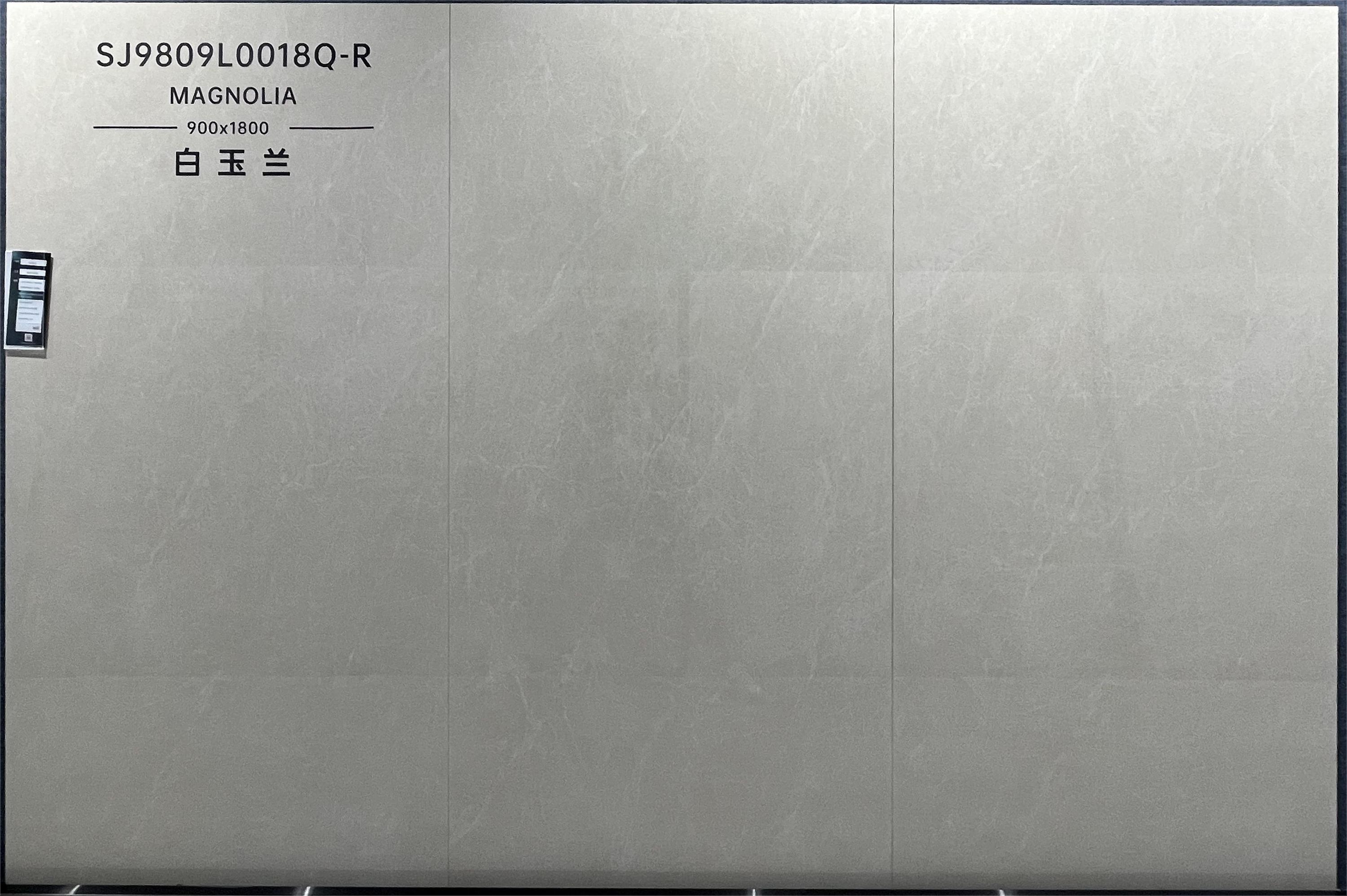 9L0018