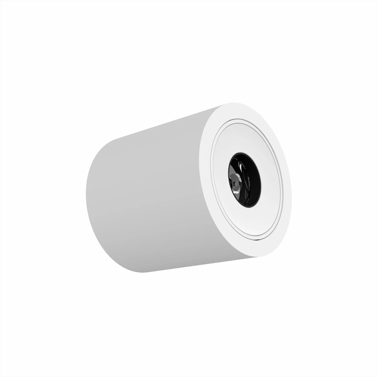 Matte white