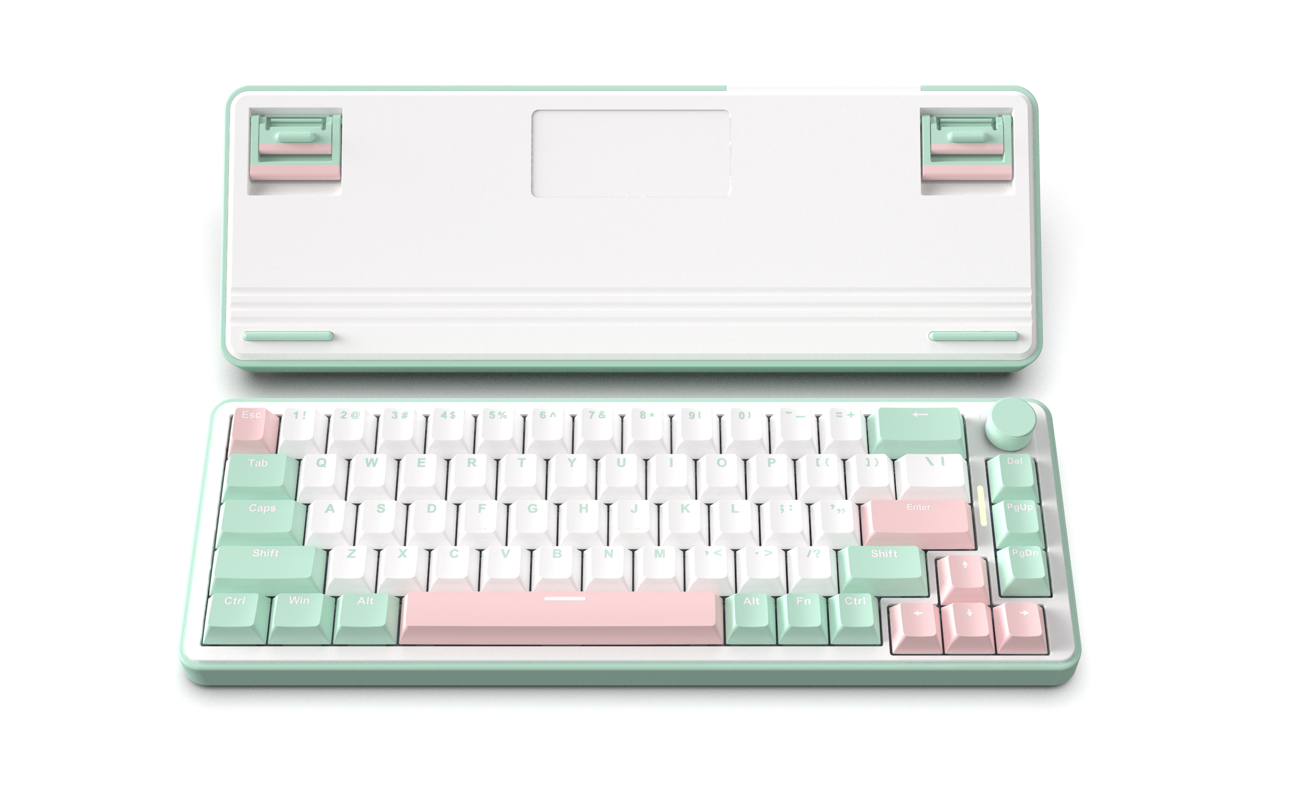 White &Cyan