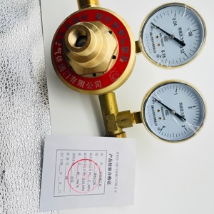 丙烷气体调节器气体压力调节器 - Product Image 5