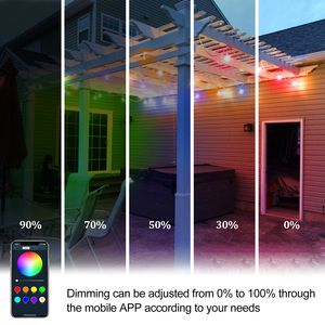 OEM intelligente LED Lichtstränge Gartenbeleuchtung Girlande Musik Synchronisation Farbwechsel Glühbirne APP Gruppensteuerung Timer RGB LED Stringlicht - Product Image 5