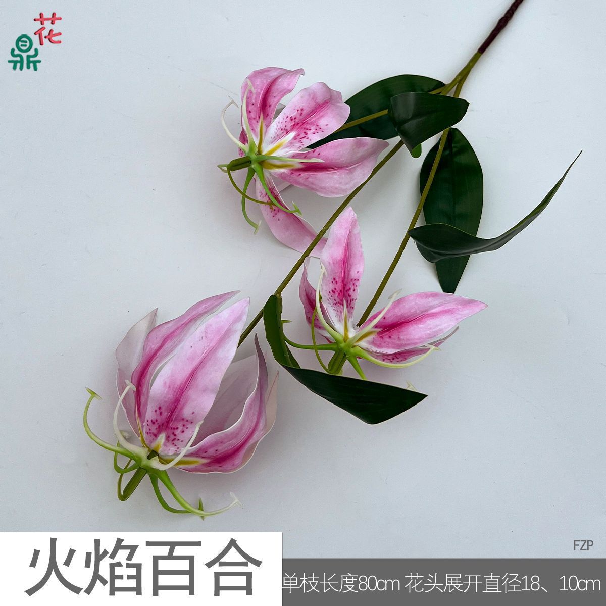 Flamme Lys FZP Rose