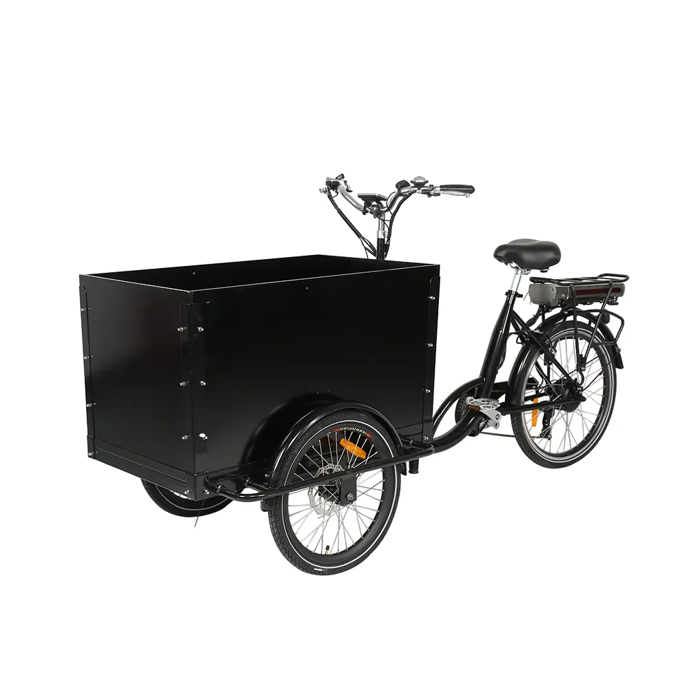 New hot selling Family cargo tricycle electric cargo bike