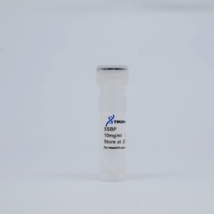 Tinzyme SSBP,T4 <strong>Gene</strong> 32 Protein,5mg/ml,Increase Yield and Processivity Specificity in PCR and RT-PCR - Product Image 4